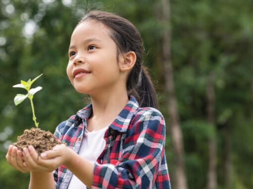 Instilling Eco-friendly Habits in Kids: Tips