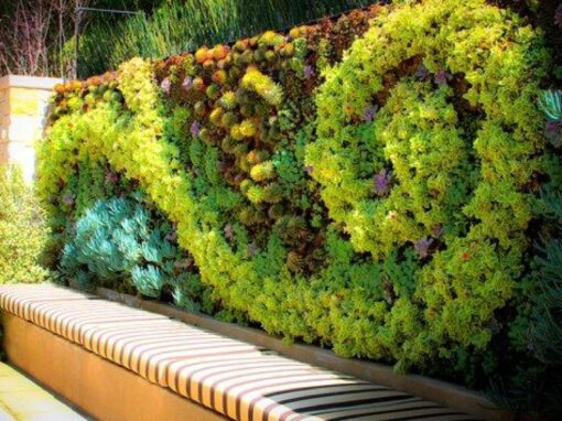 Transform Indoors with Living Walls & Gardens